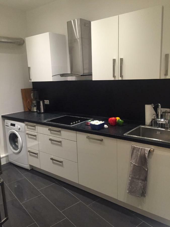 Luxe Apartment Am Rhein ヴォルムス エクステリア 写真